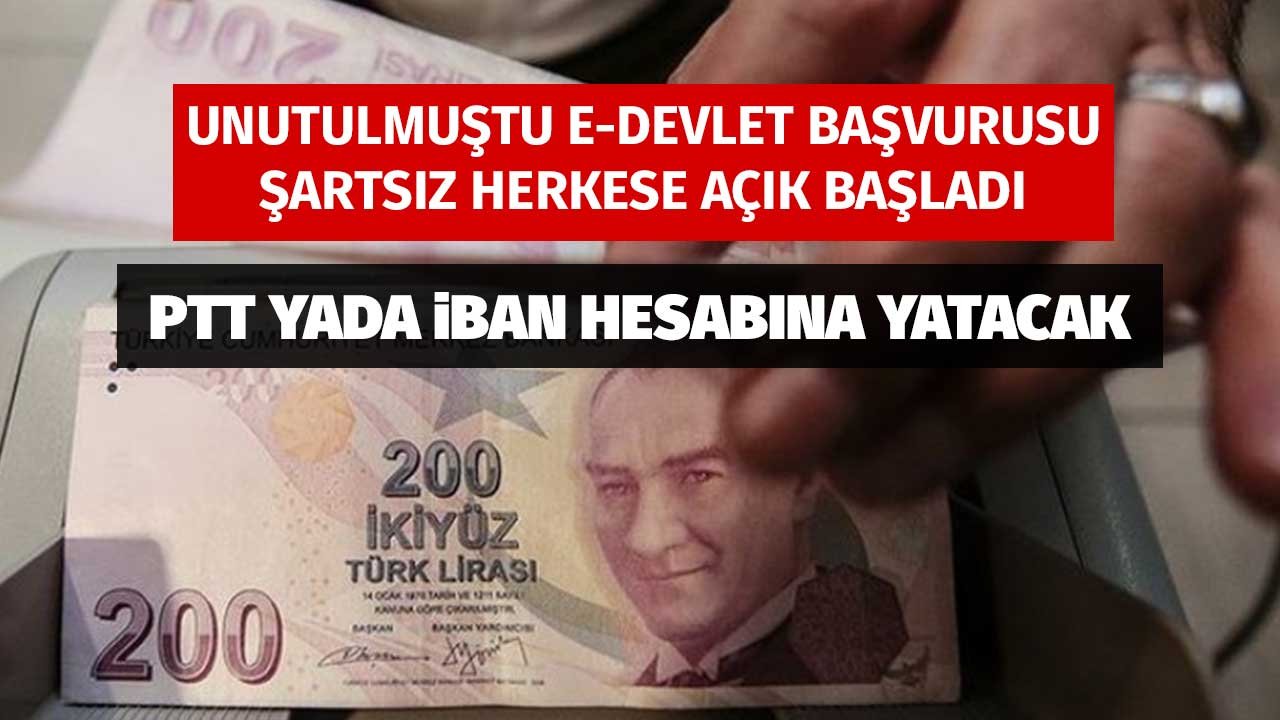 Unutulmuştu e-Devlet Başvuru Ekranı Şartsız Herkese Açıldı! PTT yada iBan Hesabına Yatacak
