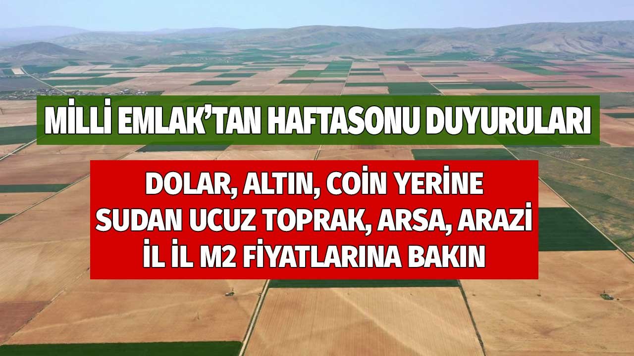 Milli Emlak'tan Haftasonu Duyuruları! Altın, Dolar, Coin Yerine Sudan Ucuz Toprak Arsa Arazi Satışları