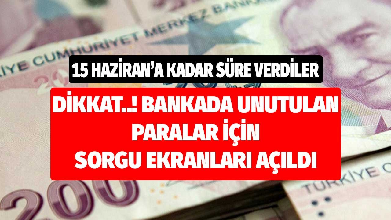 15 Haziran'a Kadar Süre Verdiler! Dikkat Bankalarda Unutulmuş Paralar için Sorgu Ekranı Açıldı