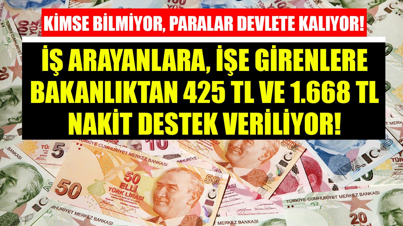 Kimse Bilmiyor, Bu Paralar Devlete Kalıyor! İş Arayanlara, İşe Girenlere Bakanlıktan 425 TL Ve 1.668 TL Nakit Destek!