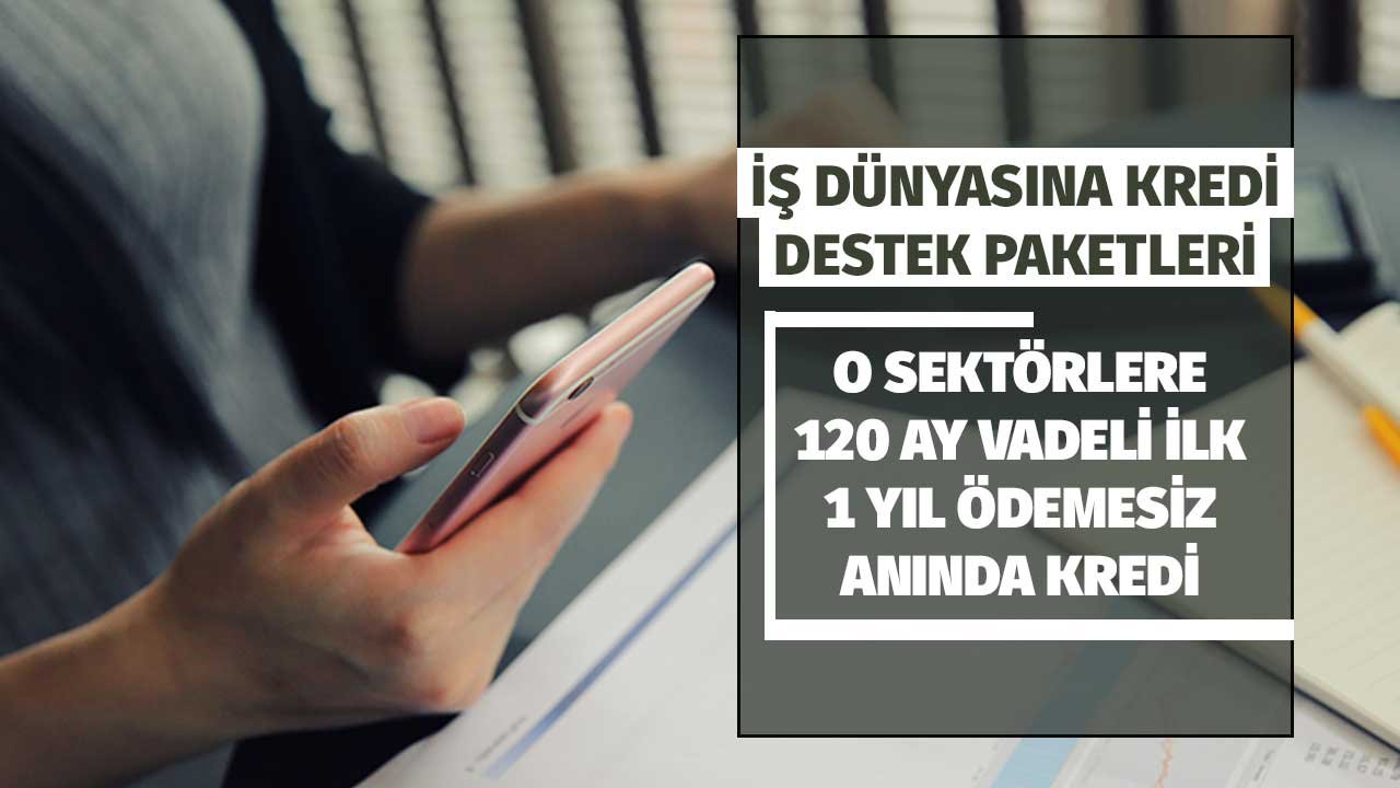 İş Dünyasına 10 Yıl Vadeli 12 Ay Ödemesiz Kredi Paketi! O Sektörlere Anında Nakit Destek Müjdesi