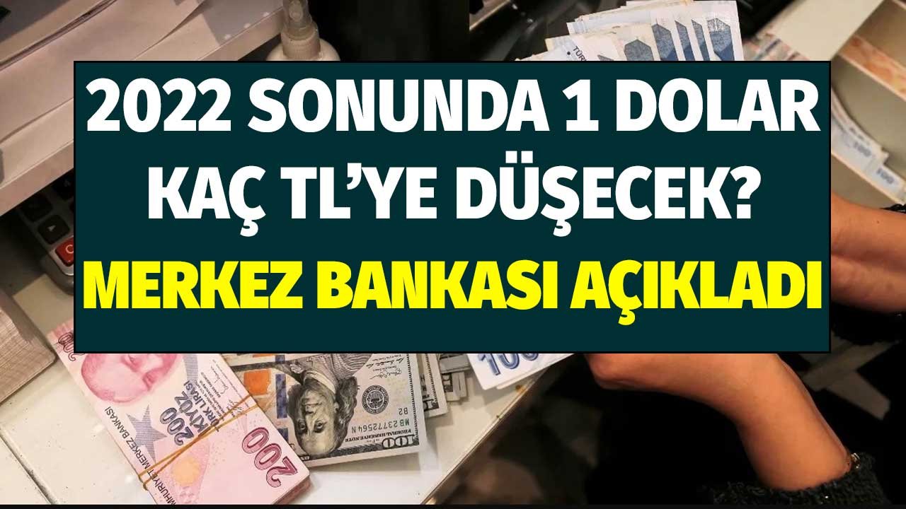 2022 Yılı Sonunda 1 Dolar Kaç TL'ye Düşecek? Merkez Bankası Şubat Raporunda Açıklandı