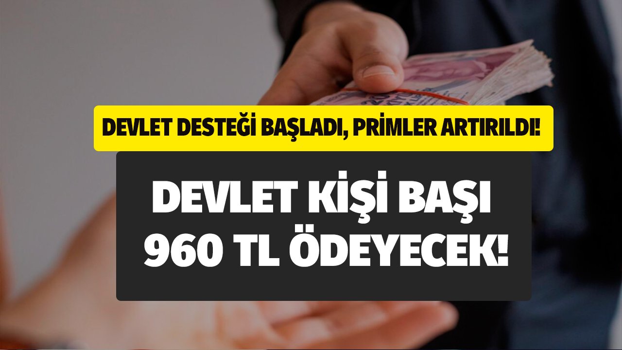 Prim Desteği Artırıldı, Kişi Başı 960 TL Ödeme Devletten!
