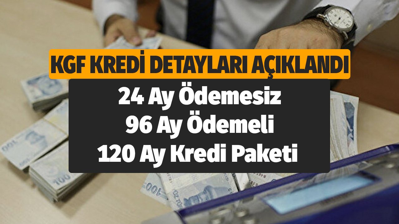 24 Ay Ödemesiz 96 Ay Ödemeli 120 Ay Kredi Paketi Detaylarını Maliye Bakanı Açıkladı