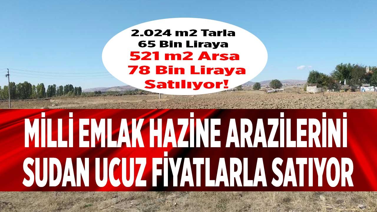 Milli Emlak Ankara Arsa Satışları: Ankara'da 2.024 M2 Tarla 65 Bin Liraya, 521 M2 Arsa 78 Bin Lira!