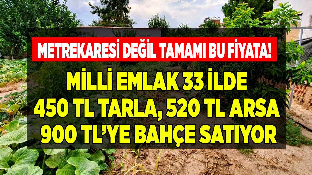 33 İlde 1.281 Hazine Arazisi Satışa Çıktı! Milli Emlak 450 Liraya Tarla, 520 TL'ye Arsa, 900 Liraya Bahçe Satıyor