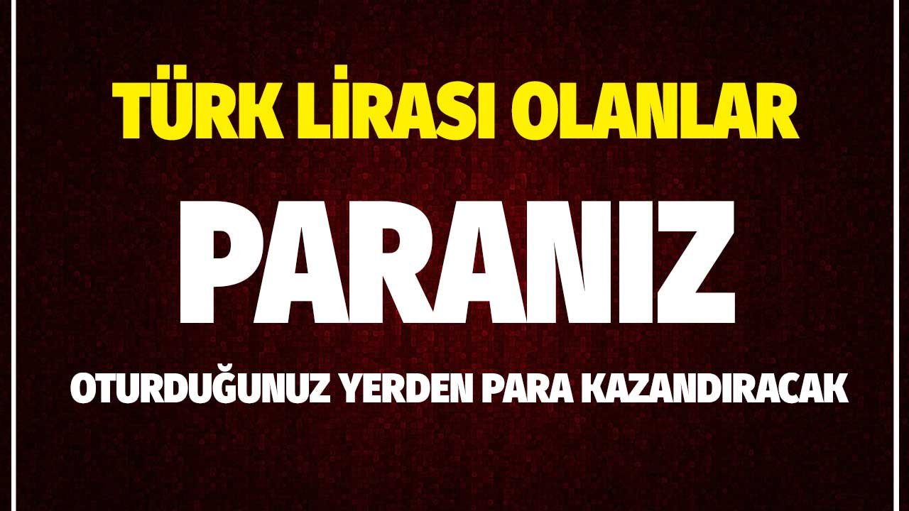 Faizlerde Son Durum! Türk Lirası Olanlar Birikiminiz Oturduğunuz Yerden Para Kazandıracak