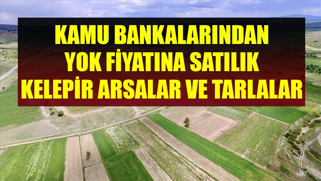 Kamu Bankalarından 10 Bin TL, 16 Bin TL, 17 Bin TL Kelepir Fiyatlarla Satılık Arsalar Ve Tarlalar