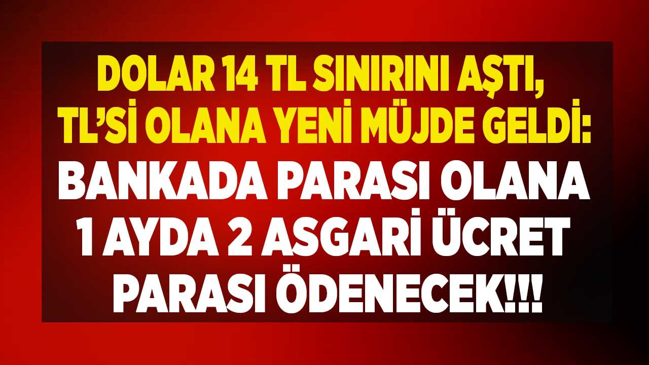 Dolar 14 TL Oldu, Flaş Hamle Geldi! En Yüksek Güncel 32 Günlük Vadeli Faiz Oranları İle 1 Ayda 2 Asgari Ücret Getirisi