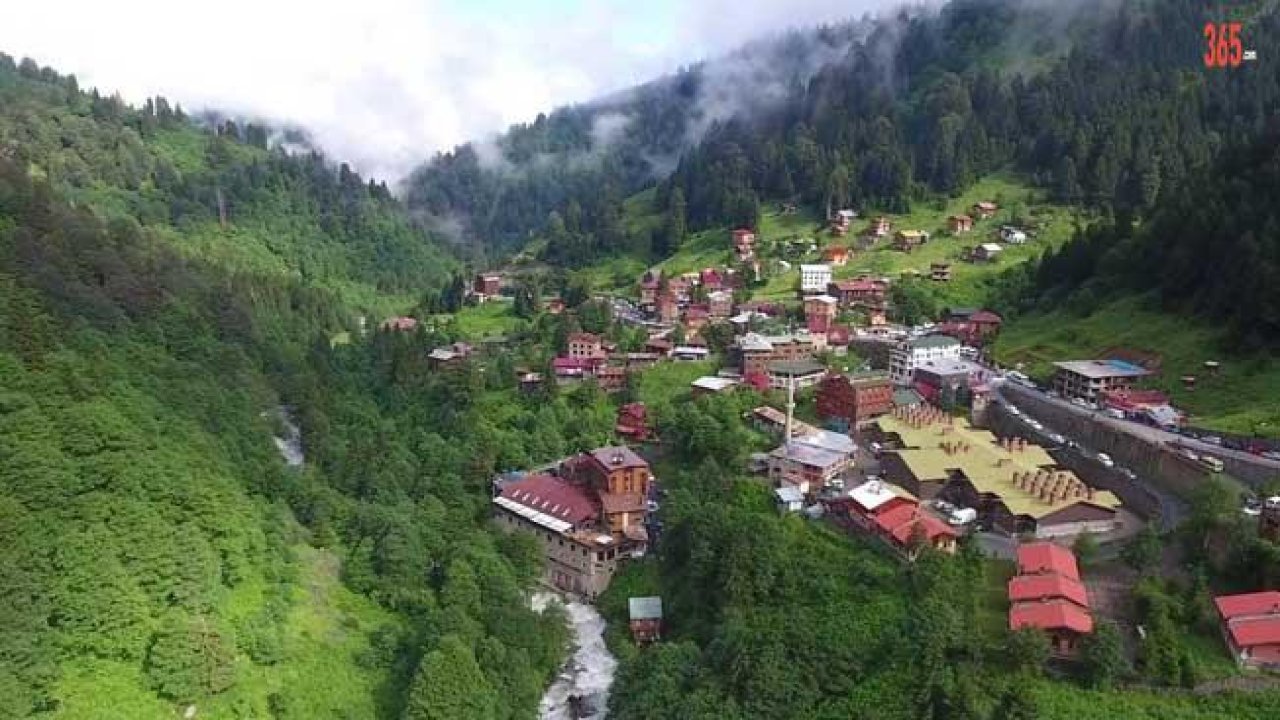 Ayder Yaylası Benzeri 11 Yeni Yayla İçin Yerler Belirlendi, Çalışmalar Başladı!