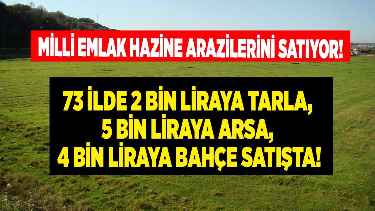 Milli Emlak'tan Satılık Hazine Arazisi Seferberliği! 73 İlde 5.488 Arsa ve Tarla Emlak Vergisi Muafiyeti İle Satışta