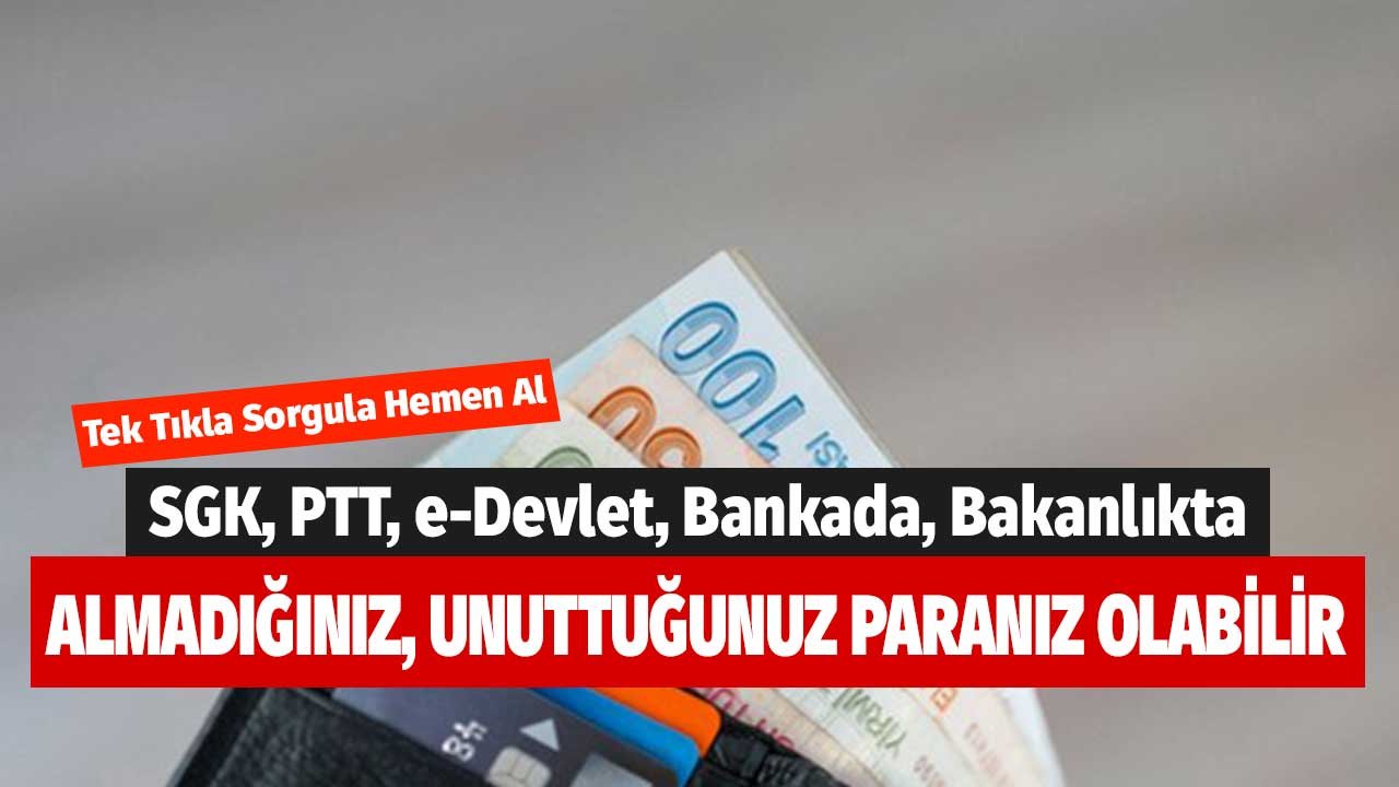 SGK, PTT, e-Devlet, Bankada, Bakanlıkta Almadığınız, Unuttuğunuz Paranız Olabilir!  Tek Tıkla Sorgula Hemen Al