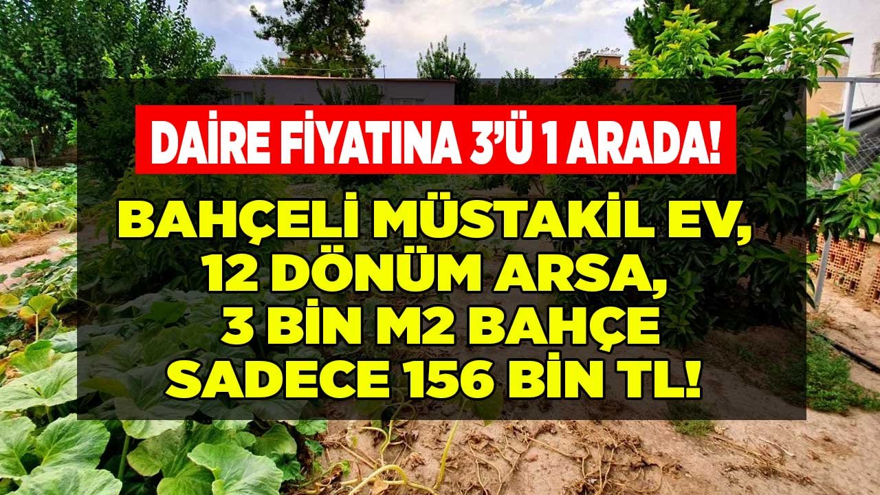 Ziraat Bankası 3'lü Gayrimenkul Paketi! Daire Fiyatına Bahçeli Müstakil Ev, Tarla, Bahçe 156 Bin TL