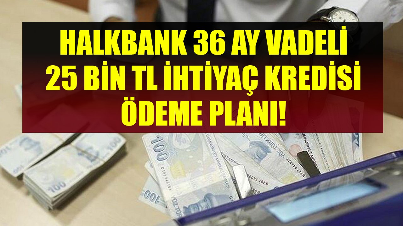 Halkbank'tan Kamu Çalışanları İle Özel Sektör Çalışanlarına Nakit Desteği! 25 Bin TL İhtiyaç Kredisi Ödeme Planı!