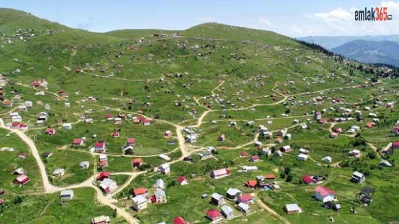 İmar Barışı Çevre Katliamına Döndü, Yaylalar ve Dere Yataklarındaki Kaçak Yapılar Ne Olacak?