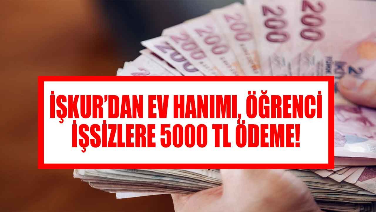 Günde 3 Saat Çalışarak 5000 TL Kazanın! Ev Hanımı, Öğrenci, İşsizler İçin İŞKUR Evde Paketleme İşi Başvuruları!