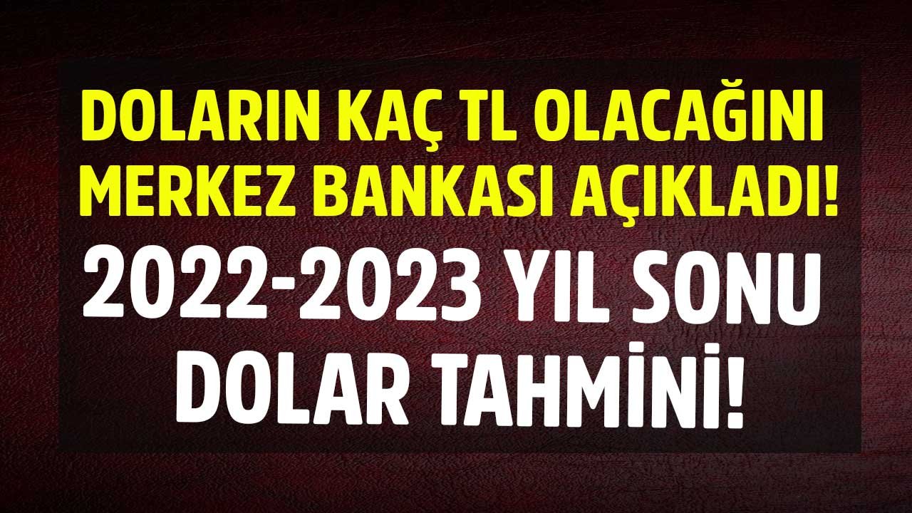 Bir Dolar Tahmini de Merkez Bankası'ndan Geldi! 2022 Yıl Sonu ve 2023 Dolar Kuru Beklentisi Kaç TL?