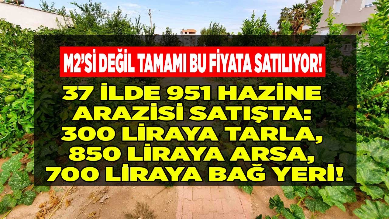 Milli Emlak'tan Yılın Yatırım Fırsatı! Satılık Hazine Arazileri 300 Liraya Tarla, 700 Liraya Bağ Yeri, 850 Liraya Arsa