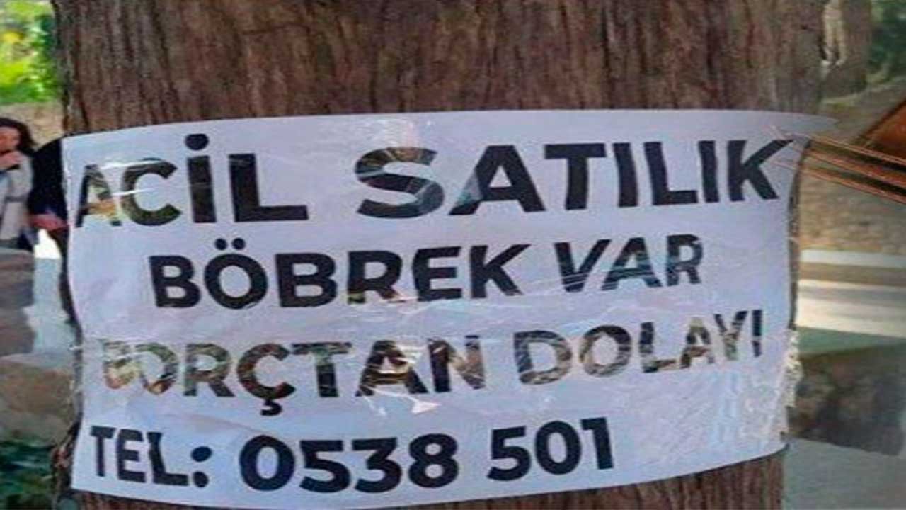 Parasızlık İnsanları Böbrek Satmaya İtti! İnternette 'Böbreğimi Satmak İstiyorum' Aramaları Patladı!