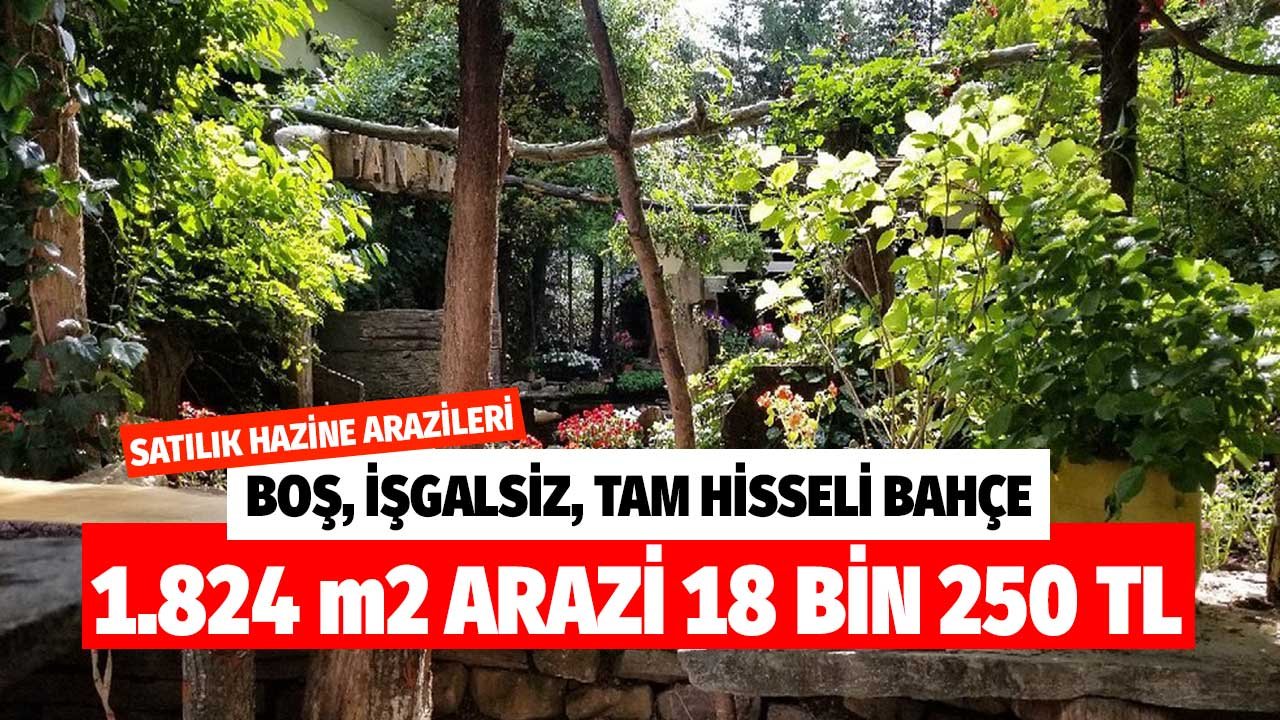 Hazineye Ait Arazi Satış İlanı! 1824 Metrekare Bahçe 18 Bin 250 TL'ye Satılık