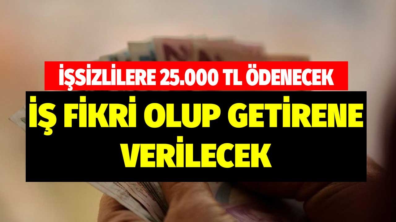 İşsizlere 25.000 TL Ödenecek! Kendi İş Fikrini Oluşturup Getirene Verilecek