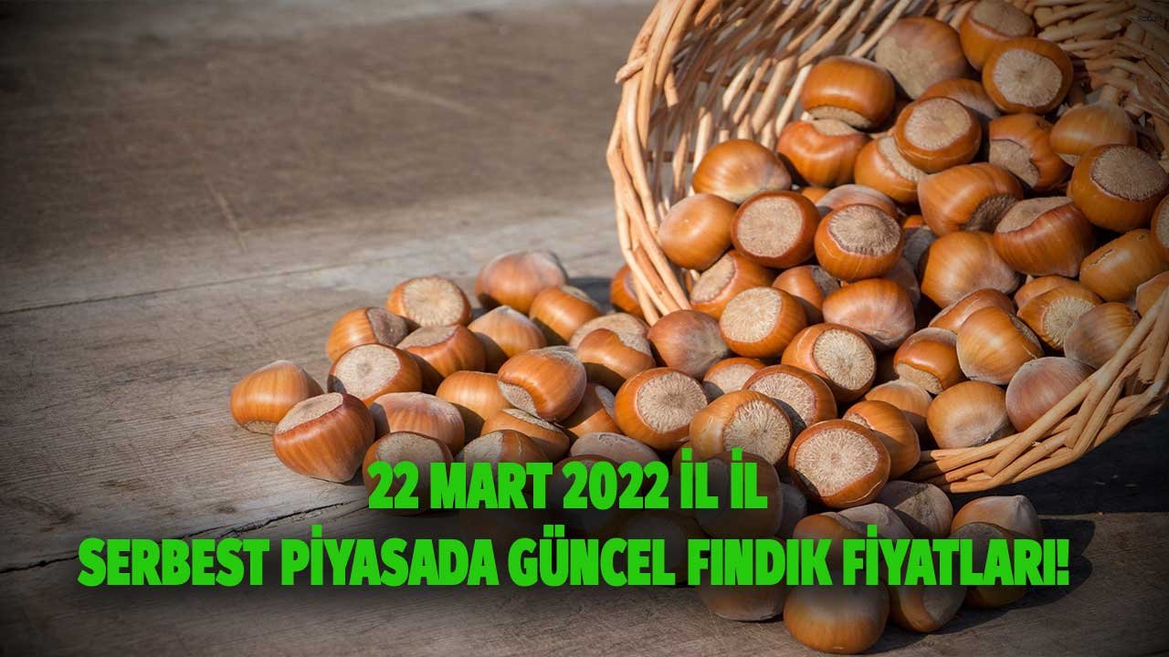 Giresun, Ordu, Fatsa, Samsun Fındık Kaç TL?  22 Mart 2022 İl İl Serbest Piyasada Güncel Fındık Fiyatları!