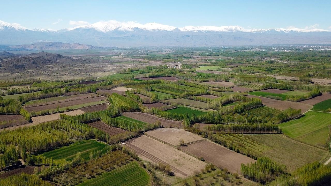 Tarla Vasıflı Arazi Üzerine Ev Yaptırma Şartları Nelerdir?