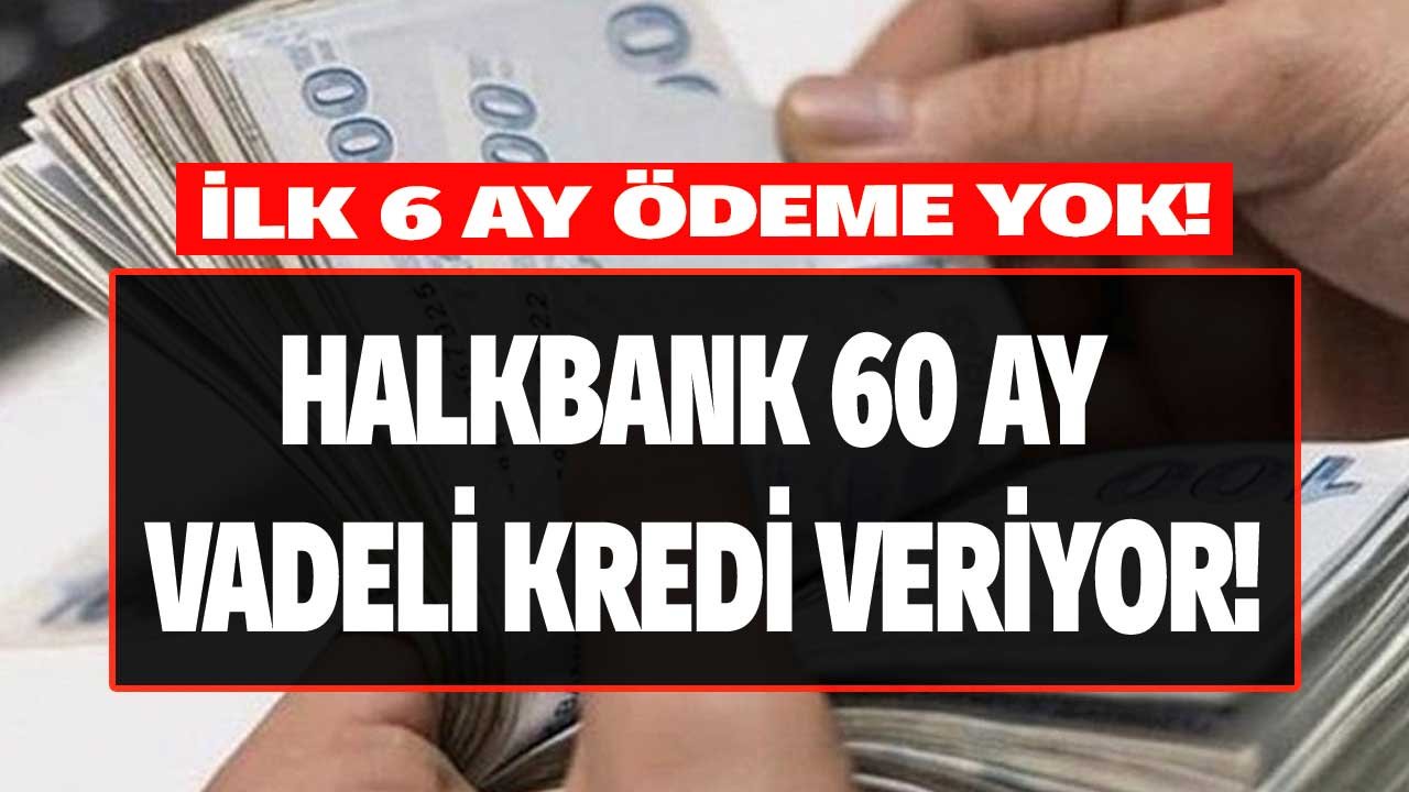 Kendi İşini Kurmak İsteyenin Kredisi Halkbank'ta! 6 Ay Ertelemeli, 60 Ay Vadeli Halkbank Franchising Kredi Paketi