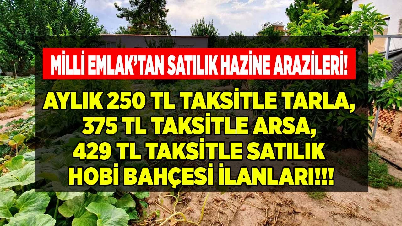 24 Ay Taksitle Hazine Arazisi Satışları: Aylık 250 TL Taksitle Tarla, 375 TL Arsa, 429 TL Satılık Hobi Bahçesi İlanları