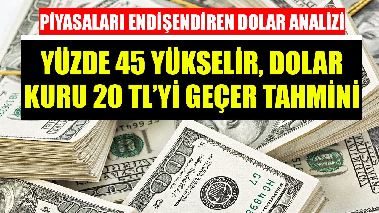 Yüzde 45 Yükselir Dolar Kuru 20 TL'yi Geçer Tahmini! Ünlü Ekonomistten Piyasaları Endişelendiren Dolar Analizi!