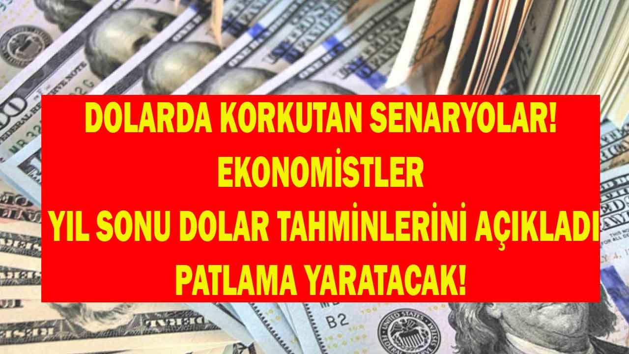 Şapkada Tavşan Yoksa Döviz Kontrolüne Geçin Diyen Ekonomistlerden Patlama Yaratacak Yıl Sonu Dolar Tahminleri!