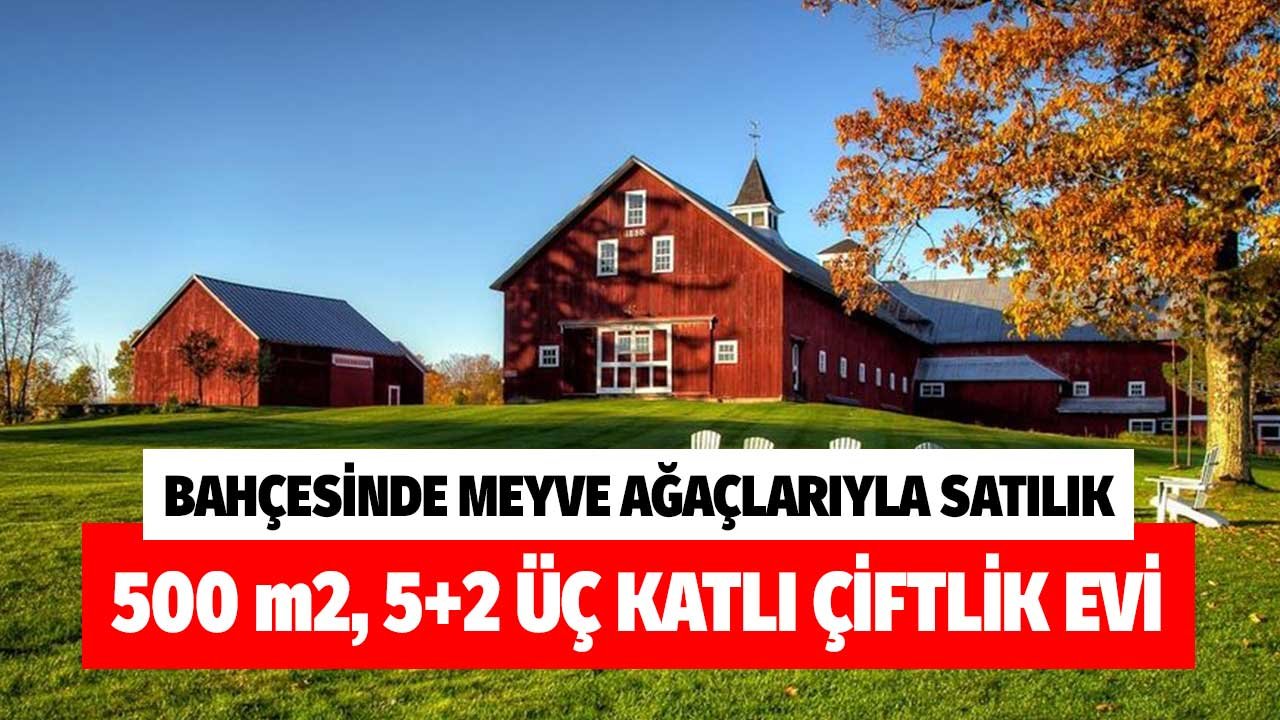 Bahçesinde Meyve Ağaçlarıyla Satılık 500 m2 5+2 Üç Katlı Çiftlik Evi