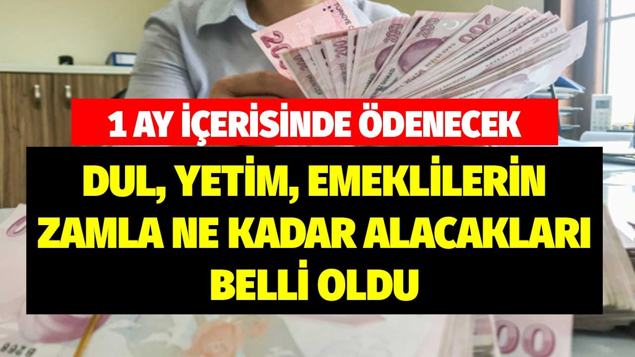 1 Ay İçerisinde Ödenecek! Dul Yetim Emeklilerin Zamla Ne Kadar Alacakları Belli Oldu