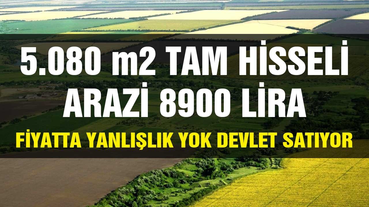 Rakamlarda Yanlışlık Yok! 5080 Metrekare Tam Hisseli Arazi Devlette 8 Bin 900 Liraya Satılık