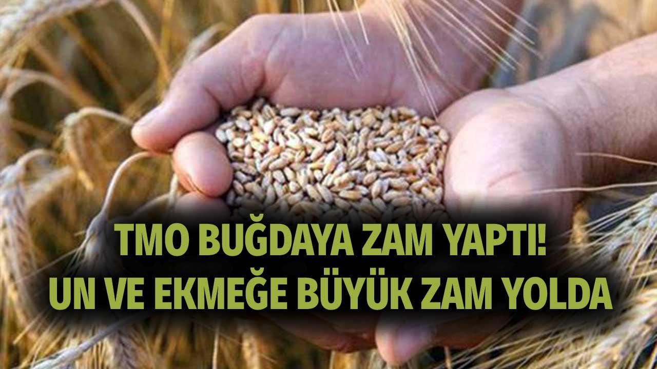 Ramazan Öncesi Büyük Şok! Buğdaya Zam Geldi, Ekmek ve Un Fiyatları Artacak!