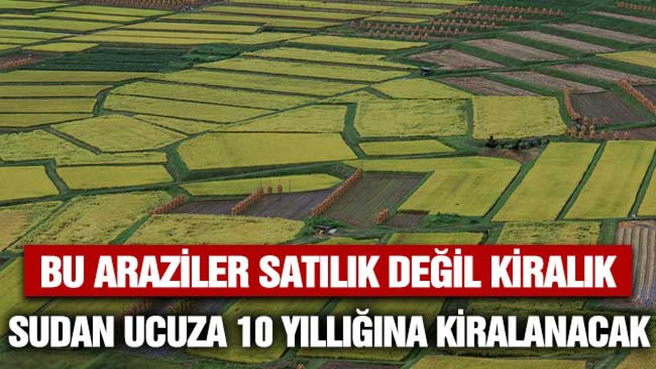 Satmıyorlar Kiralıyorlar! Sudan Ucuza Dev Tarım Arazileri 3 5 10 Yıllığına Kiralanacak