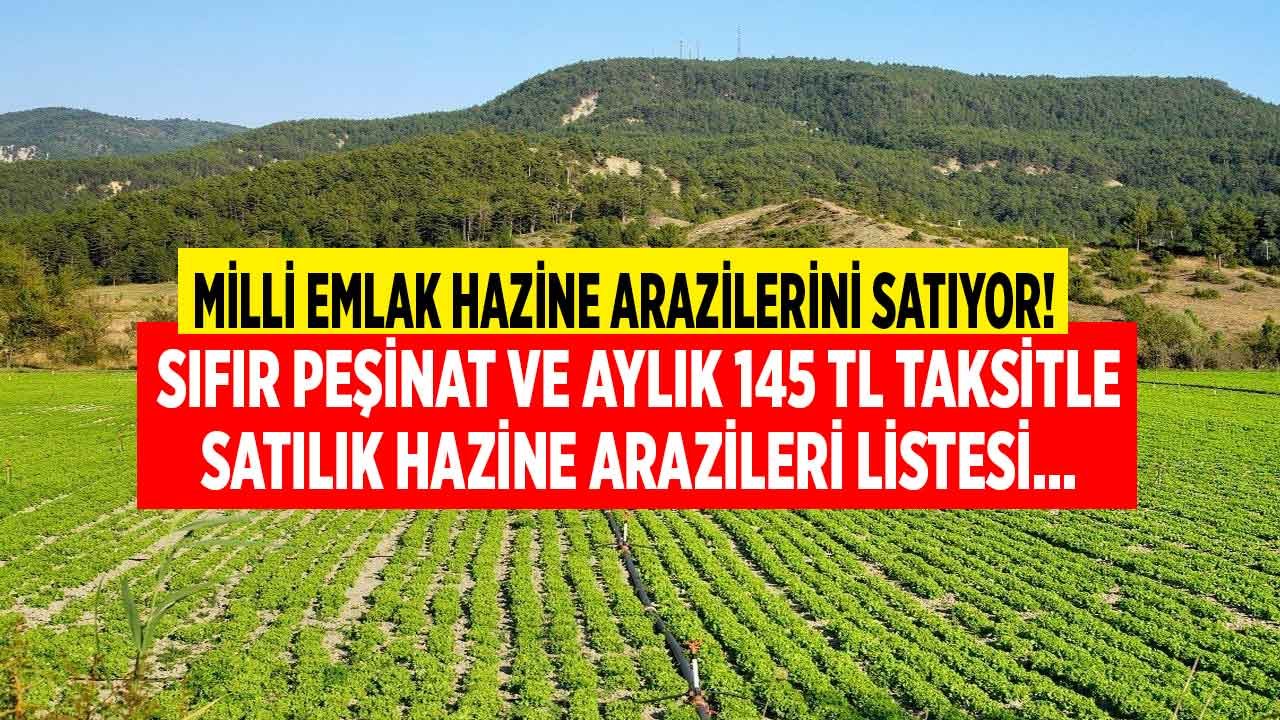 Milli Emlak Hazine Arazilerini Satıyor! Sıfır Peşinat ve Ayda 145 TL Taksitle KDV'siz, Vergisiz Arsa, Tarla Satışları