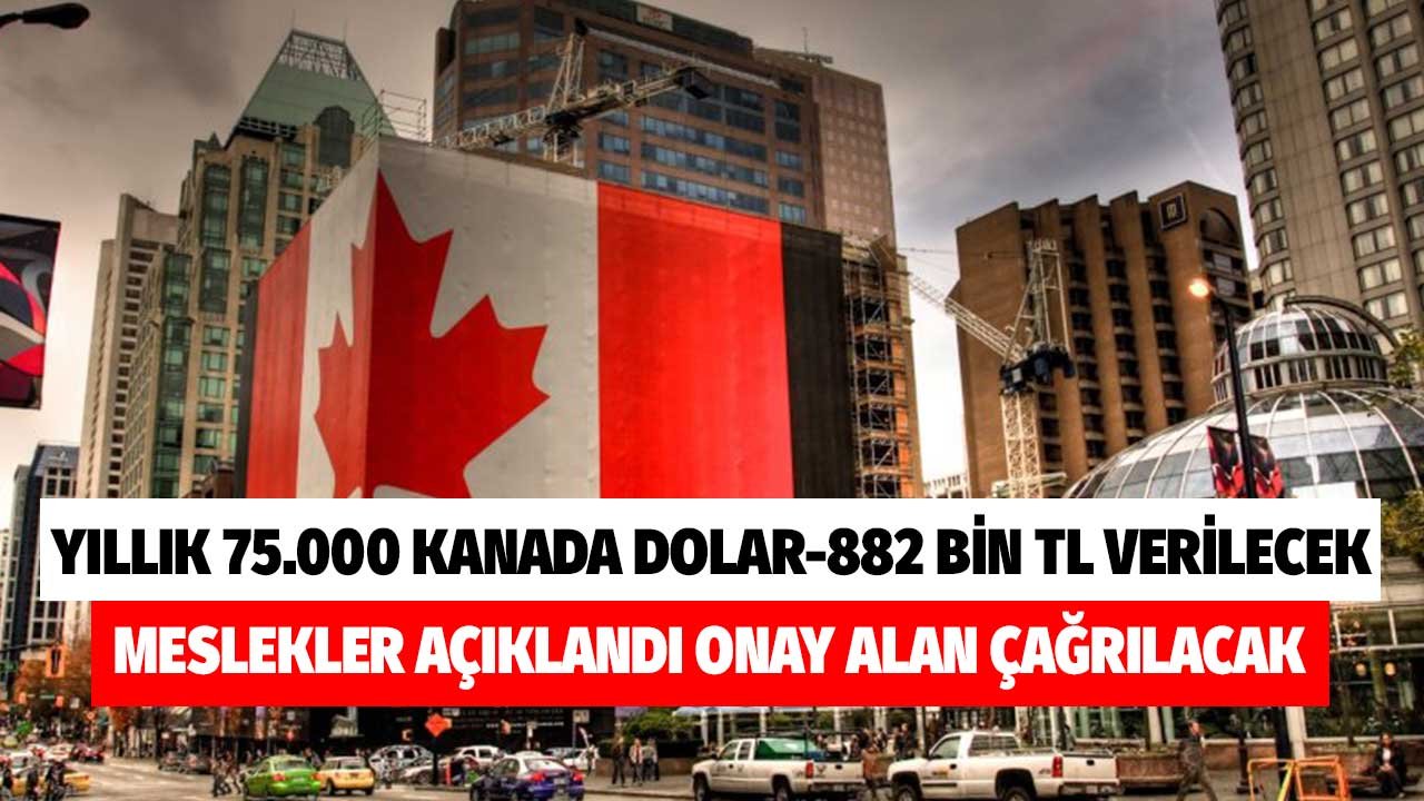 Yıllık 75.000 Kanada Doları Verilecek 882 Bin TL! Meslek Grupları Açıklandı Onay Alan Çalışma Çağrılacak