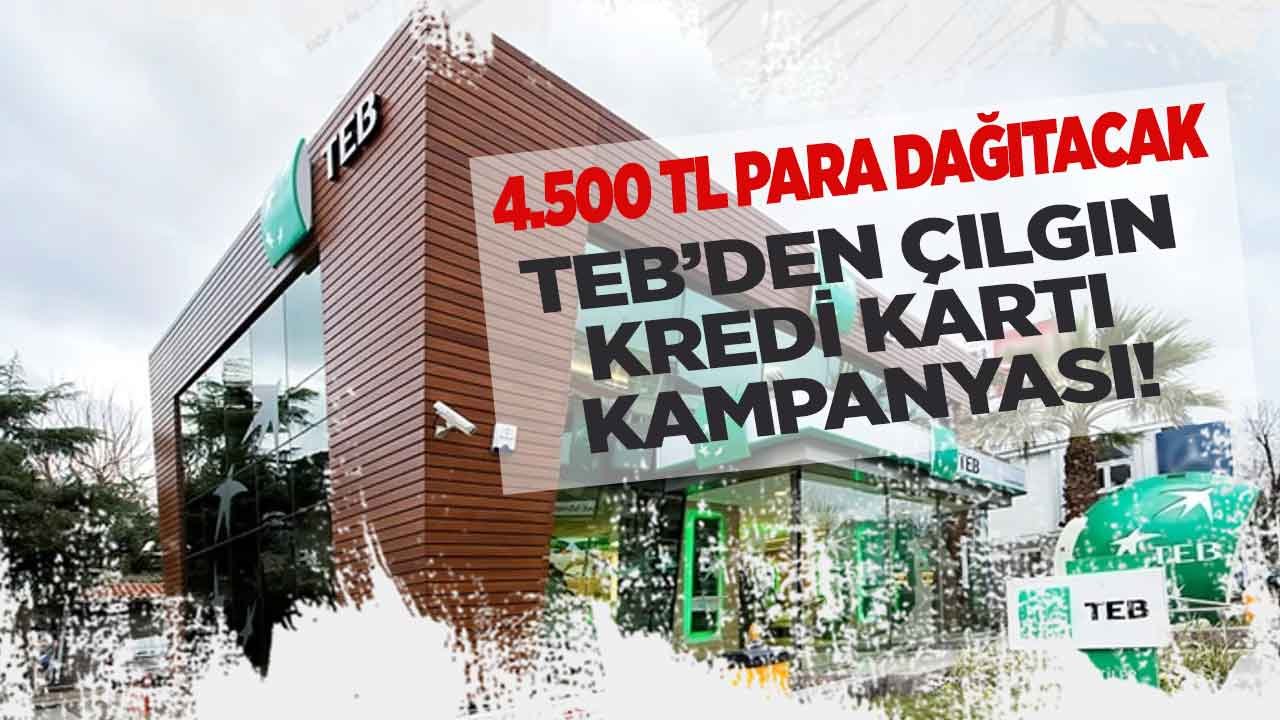 TEB'den Çılgın Kredi Kartı Kampanyası! TEB Bonus Card Alana 4.500 TL Bedava Alışveriş Müjdesi