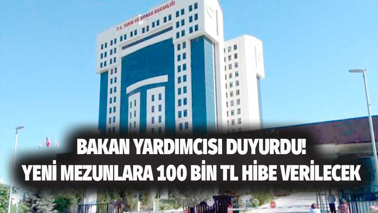 Bakan Yardımcısı Müjdeyi Verdi! Yeni Mezunlara 100 Bin TL Hibe Desteği Verilecek!