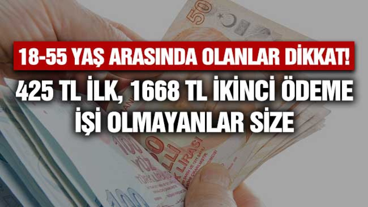 18 yaşından büyük 55 yaşından küçükler! İşi olmayana 425 TL ilk ödeme, 1668 TL ikinci ödeme