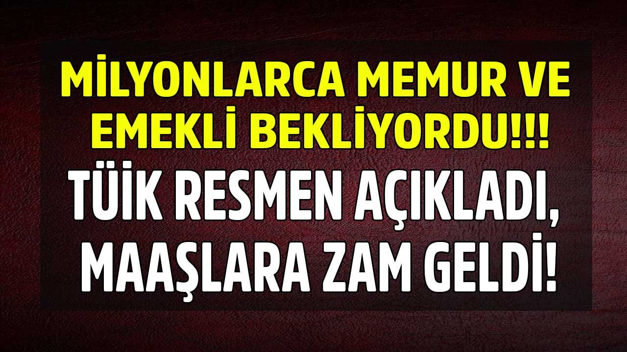 Milyonlarca Memur ve Emekli Bekliyordu! TÜİK Açıkladı, TÜFE TEFE Enflasyon Farkı Maaş Zammı 2022 Kesinleşti