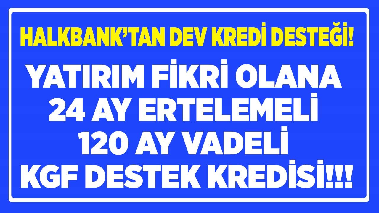 İş Fikri Olana Yatırım Kredisi Halkbank'ta: 24 Ay Ertelemeli, 120 Ay Vadeli KGF Destek Kredisi!