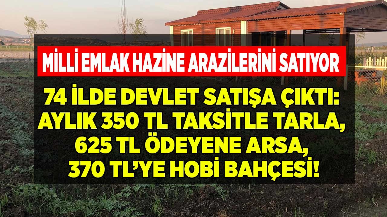 Çocuğuna, Torununa Yatırım Yapmak İsteyenlere Milli Emlak'tan Satılık Hazine Arazileri: Arsa, Tarla, Bahçe İlanları