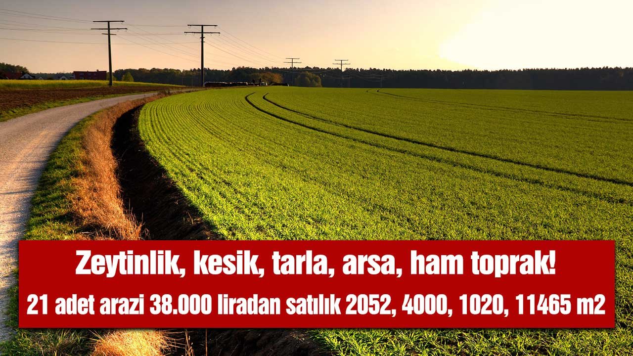 Zeytinlik, kesik, tarla, arsa, ham toprak! 21 adet arazi 38.000 liradan satılık 2052, 4000, 1020, 11465 m2