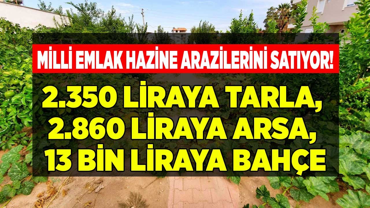 2.565 Hazine Arazisi Satışa Çıktı! Milli Emlak İlanları: 729 M2 Tarla 2.350 TL, 238 M2 Arsa 2.860 TL, Bahçe 12.900 TL