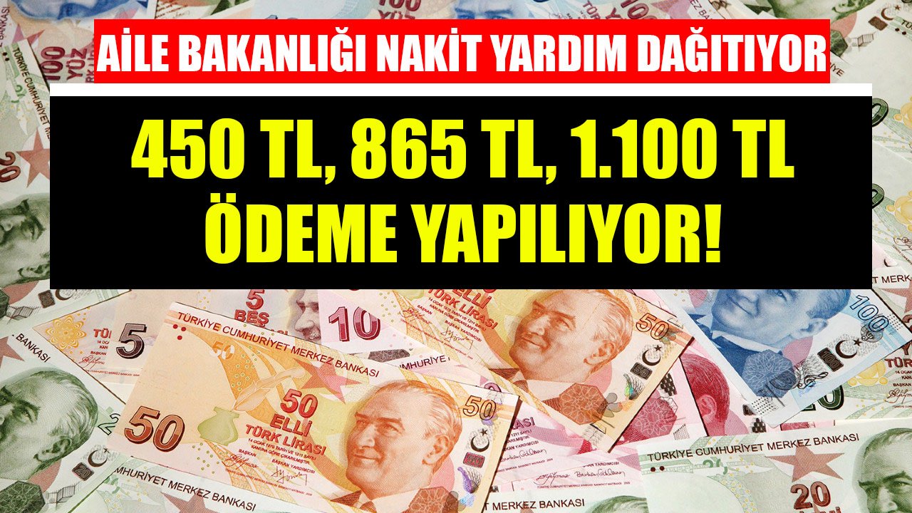 450 TL, 865 TL, 1.100 TL Ödeniyor! Aile Bakanlığı Nakit Sosyal Yardımları Dağıtmaya Başladı!