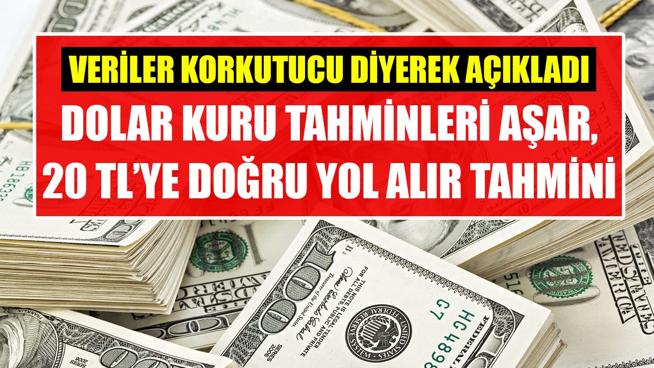 Veriler Korkutucu Diyen Ünlü Ekonomist Açıkladı! Dolar Kuru Tahminlerin Üzerine Çıkar, 20 TL'ye Yol Alır Tahmini!