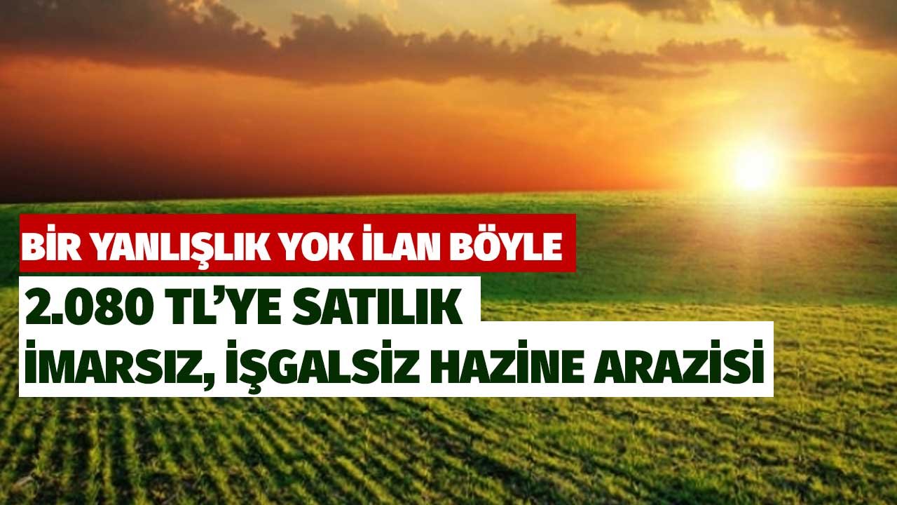 Bir yanlışlık yok ilan böyle! 2080 TL'ye satılık hazine arazisi