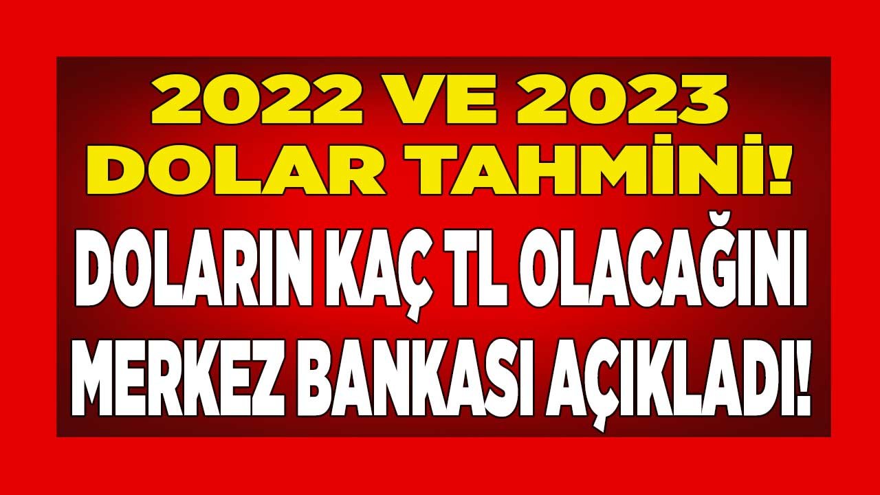 Yıl Sonunda 1 Doların Kaç TL Olacağını Merkez Bankası Açıkladı! TCMB 2022 - 2023 Dolar Kuru Tahmini